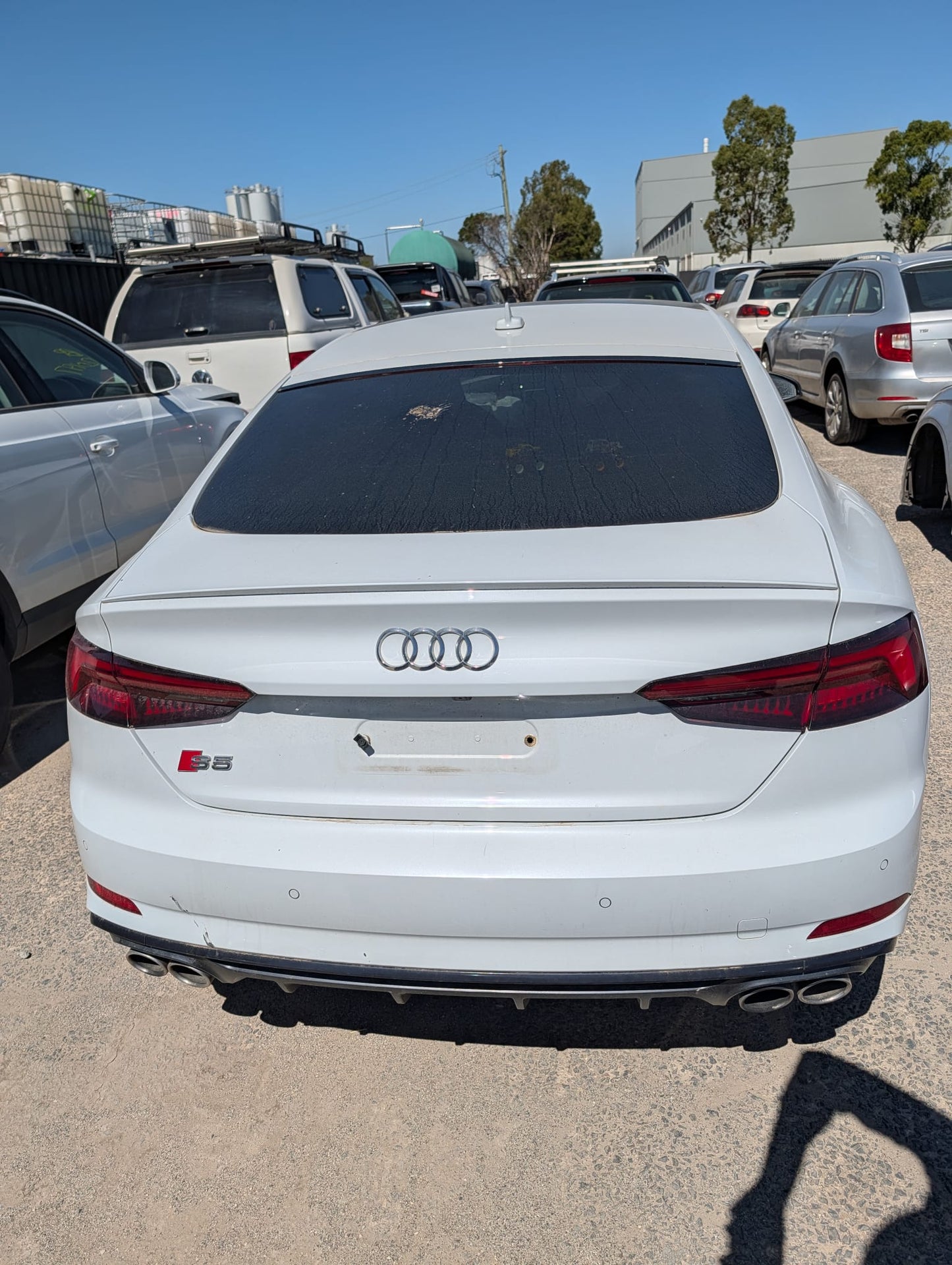 2019 Audi S5
